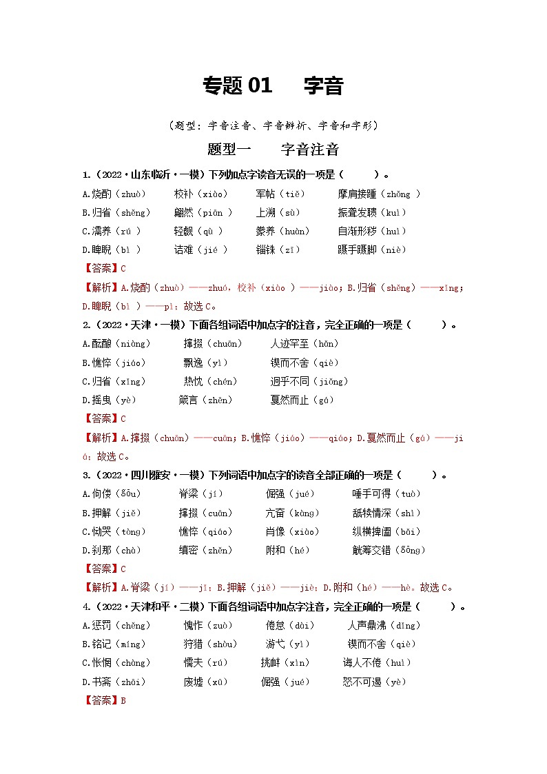 专题01   字音（解析版）第1页