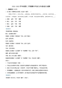 湖北省武汉市汉阳区2021-2022学年七年级下学期期中语文试题（解析版）