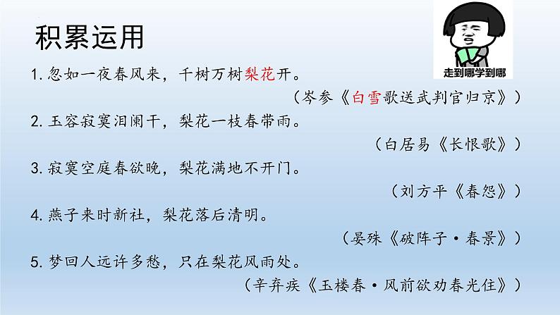 第15课《驿路梨花》课件（27张PPT）2021-2022学年部编版语文七年级下册第3页