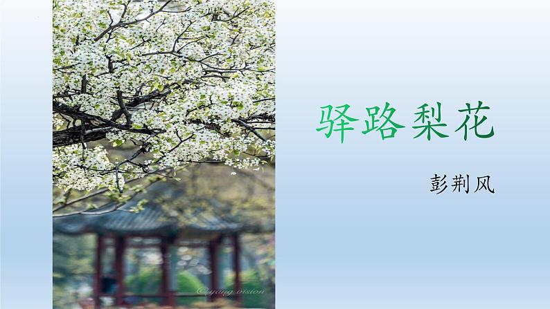 第15课《驿路梨花》课件（27张PPT）2021-2022学年部编版语文七年级下册第5页