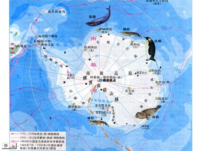 第22课《伟大的悲剧》课件（共48页）2021-2022学年部编版语文七年级下册第4页