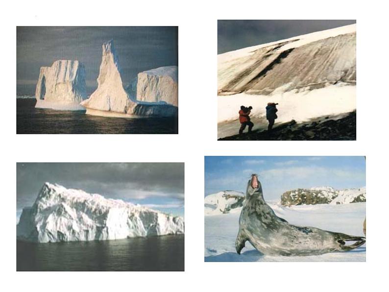 第22课《伟大的悲剧》课件（共48页）2021-2022学年部编版语文七年级下册第8页