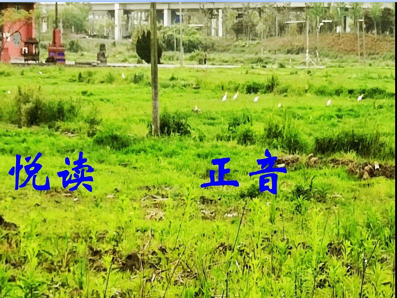 第25课《活板》课件（共32张PPT）2021—2022学年部编版语文七年级下册第7页