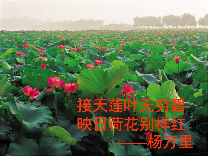 第13课《湖心亭看雪》课件2022-2023学年部编版语文九年级上册 (2)第1页