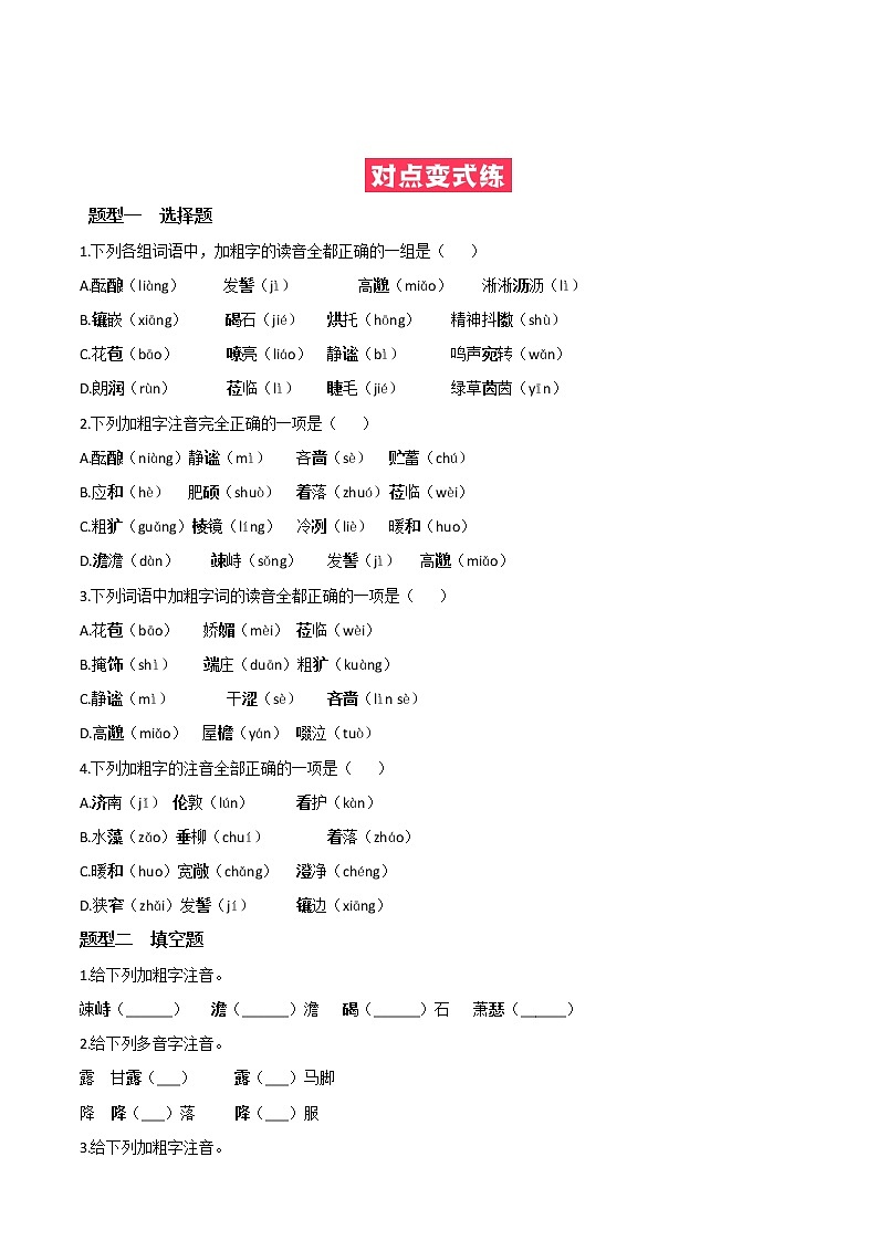 必考点01  字音-【对点变式题】2021-2022学年七年级语文上学期期中期末必考题精准练（部编版）（原卷版）第3页