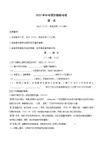 2022年中考语文模拟考试（有答案解析）