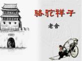 名著导读《骆驼祥子》2021-2022学年七年级语文下册同步备课课件（部编版）