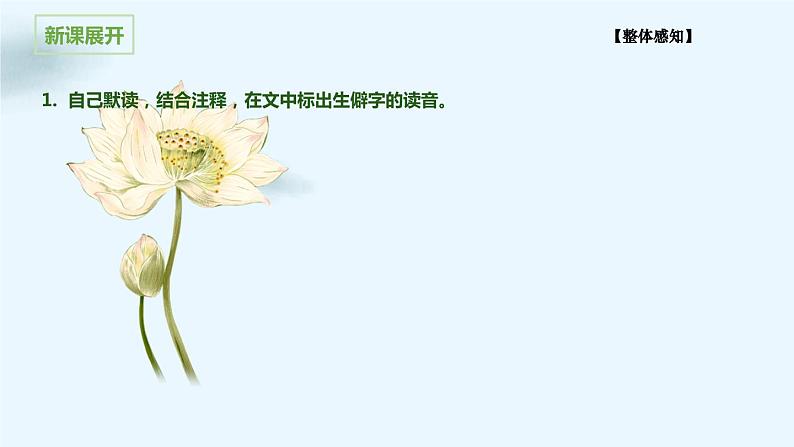 专题22  短文两篇之《爱莲说》（精品课件）-2021-2022学年七年级语文下学期精品课件+教学设计第7页