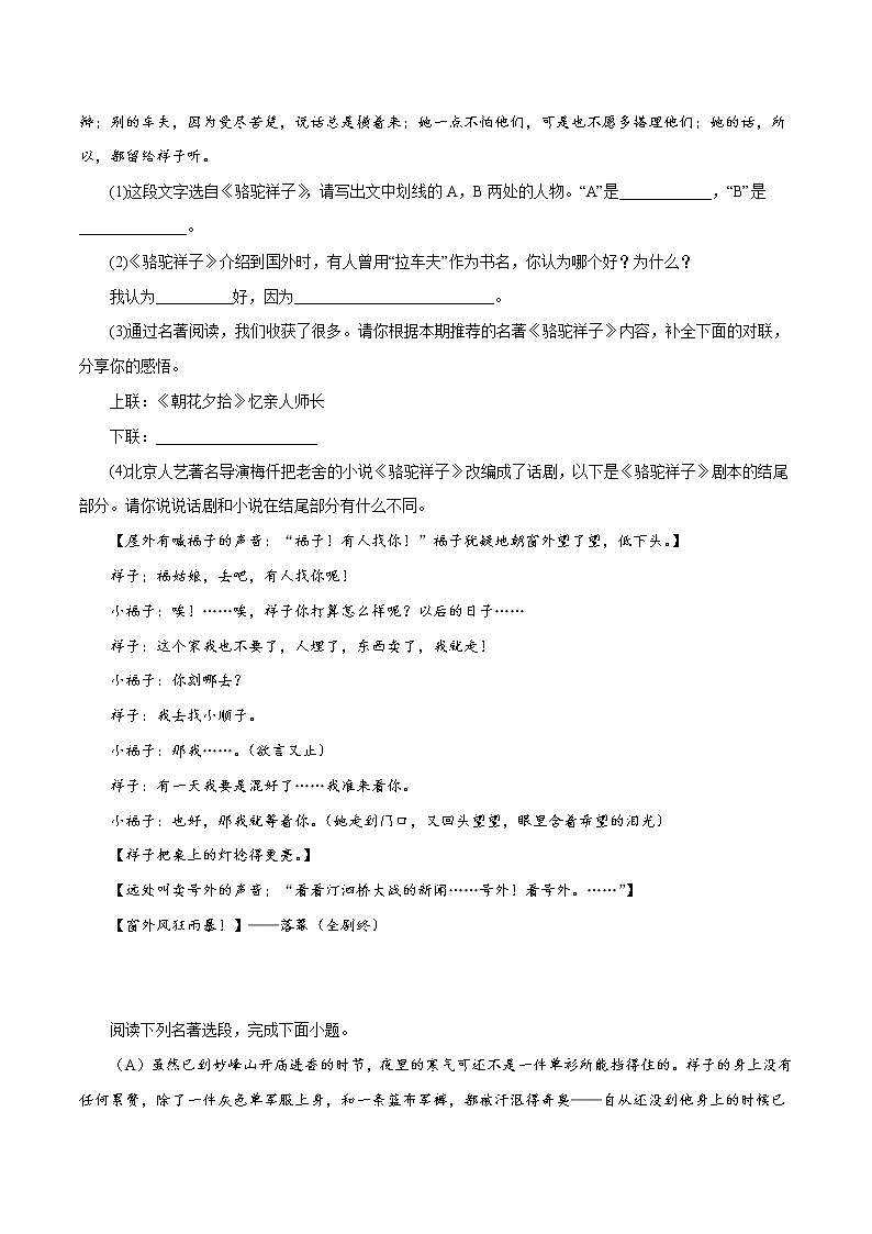 专题09：名著阅读-2021-2022学年七年级语文下学期期中专题复习（原卷版）第3页