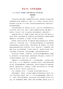 考点09：文学作品阅读-2021-2022学年八年级语文下学期期末复习考点梳理与训练（江苏专用）