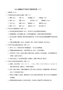 2022届临沂中考语文考前热身卷（三）