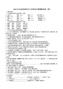 2022年山东省滨州市八年级语文暑假拔高卷精选（四）