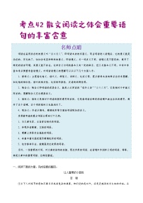 2022年中考语文考点冲刺 考点42 散文阅读之体会重要语句的丰富含意