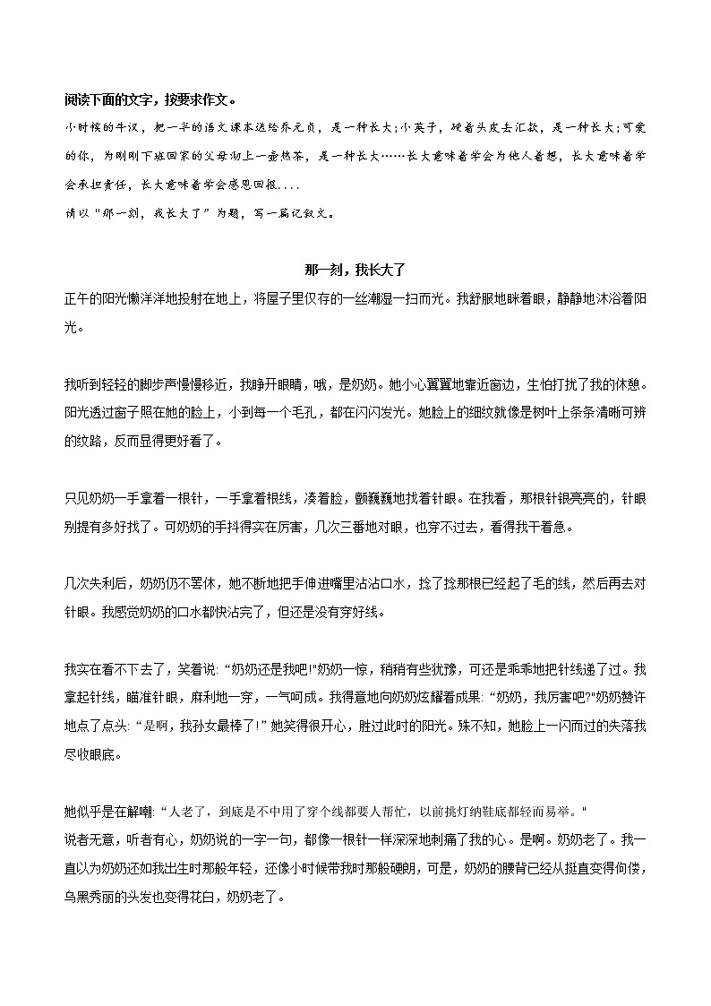 专题09++《那一刻，我长大了》《拼搏，我的青春旋律》《难忘那失望的眼神》《我读懂了夜的心跳》《我以扁担为知己》-冲刺2022年中考语文作文押题预测及优质范文展示01