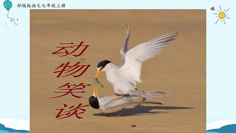 《动物笑谈》课件01