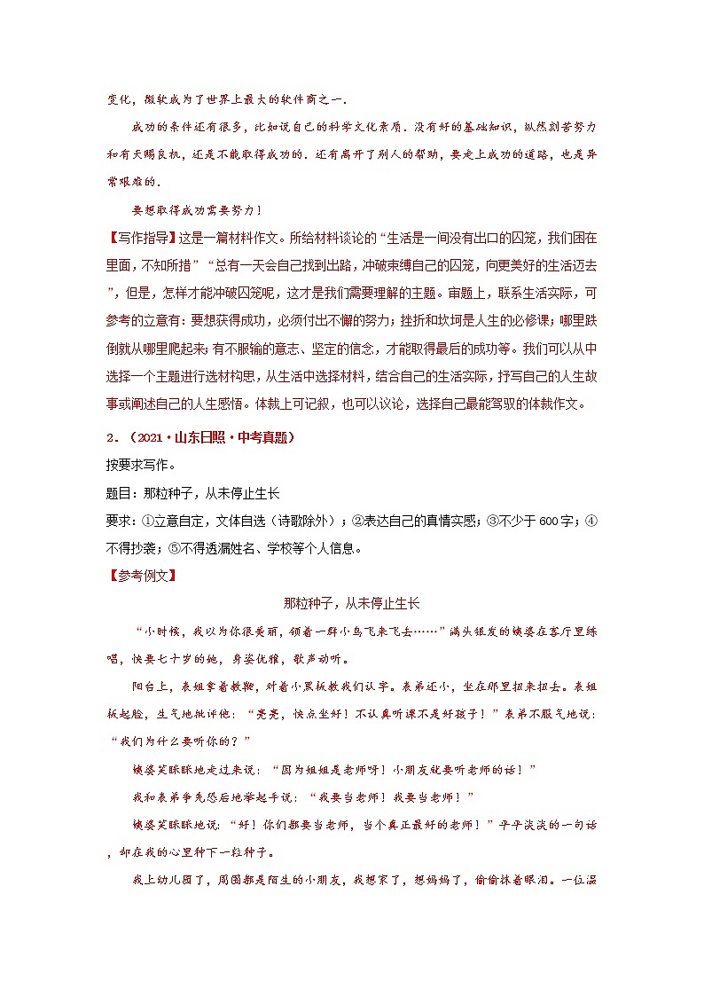 专题21 写作-备战2022年中考语文精选题集（山东专用）（解析版）第2页