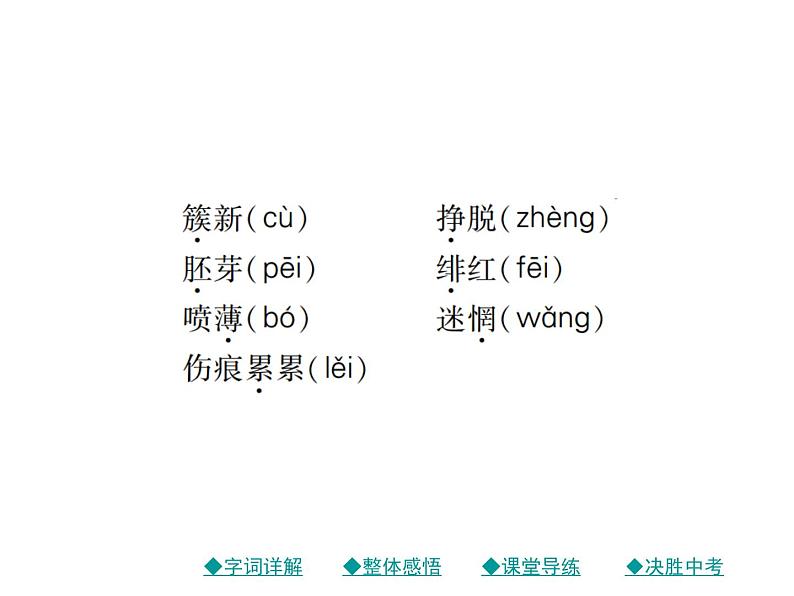 部编版初中九年级下册《祖国啊，我亲爱的祖国》优秀语文课件第3页