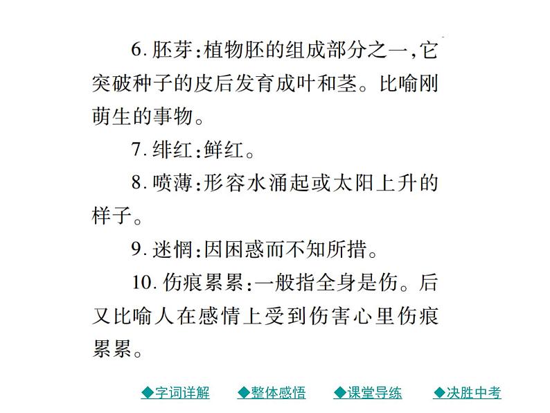部编版初中九年级下册《祖国啊，我亲爱的祖国》优秀语文课件第6页
