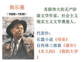 部编版初中九年级下册《海燕》优秀语文课件(1)