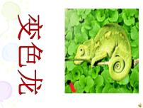 初中人教部编版6 变色龙评课ppt课件