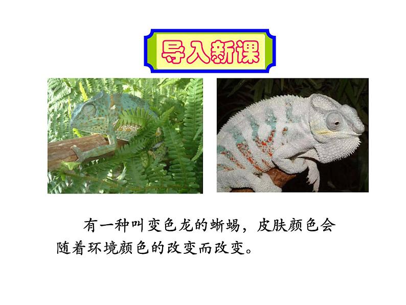 部编版初中语文九年级下册《变色龙》课件03