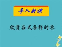 2020-2021学年第五单元19 枣儿备课ppt课件