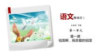 初中语文人教部编版九年级下册1 祖国啊，我亲爱的祖国课前预习ppt课件