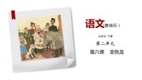初中语文人教部编版九年级下册6 变色龙备课ppt课件