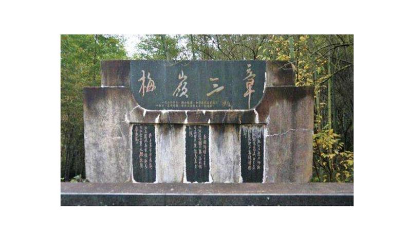 部编版语文九年级下册《梅岭三章》同步课件06