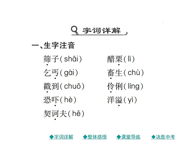 初三年级下册《变色龙》语文课件02