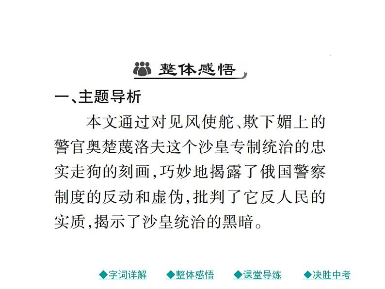 初三年级下册《变色龙》语文课件05