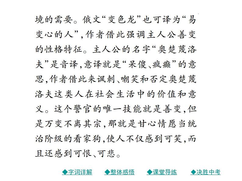 初三年级下册《变色龙》语文课件07