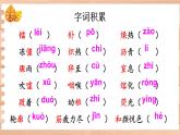 部编版语文八上9《美丽的颜色》课件+教案