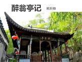 部编版九年级语文上册精品课件---11醉翁亭记
