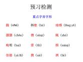 部编版九年级语文上册精品课件---11醉翁亭记