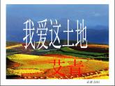 部编版九年级语文上册精品课件---我爱这土地