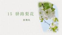 人教部编版七年级下册15 驿路梨花集体备课ppt课件