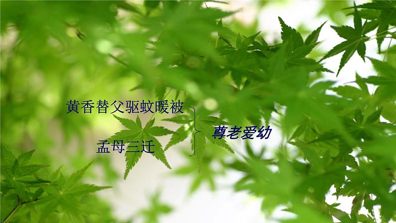 第6课《散步》课件（共19张PPT）2022—2023学年部编版语文七年级上册01