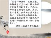 第11课《记承天寺夜游》课件2022-2023学年部编版语文八年级上册