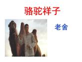 第三单元名著导读《骆驼祥子》课件（共59张PPT）2021—2022学年部编版语文七年级下册