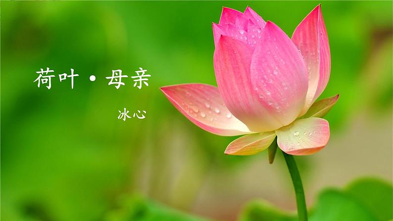 部编版语文七年级上册《7 散文诗二首》第二课时 课件第3页