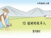 部編版語文七年級上冊13 植樹的牧羊人第一課時 課件+教案