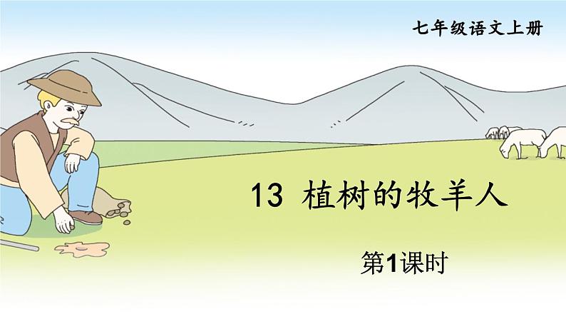 部编版语文七年级上册13 植树的牧羊人第一课时 课件+教案01