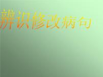 2022年中考语文复习：辨识修改病句（共35张PPT）