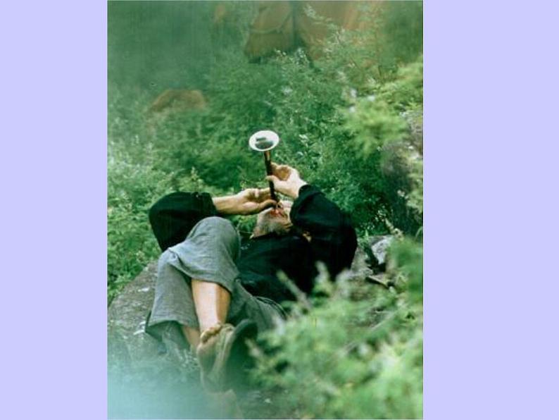 2022年中考复习：作文的拟题与开头 课件（59张PPT）第7页