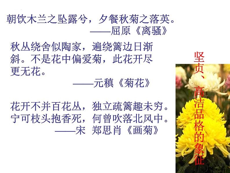 2022年中考语文专题复习-古诗鉴赏之意象意境课件（共55页）04