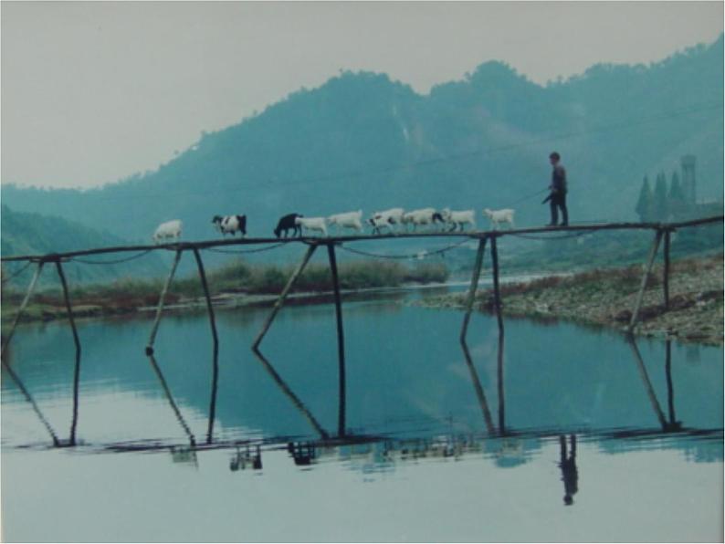 第18课《中国石拱桥》课件2022-2023学年部编版语文八年级上册03