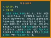 第六单元知识梳理课件（共56张PPT）2021—2022学年部编版语文七年级下册