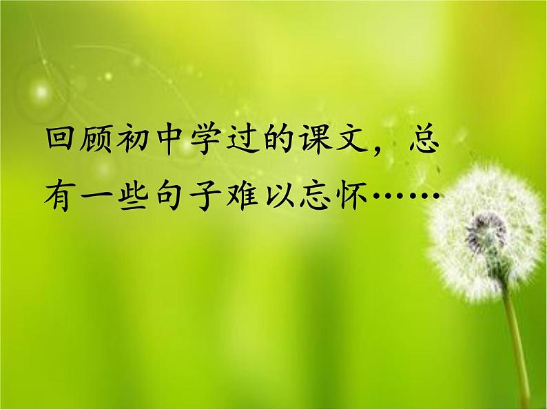 中考记叙文复习专项：句子赏析  课件第2页