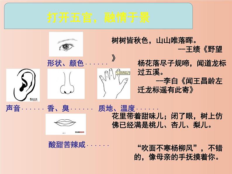 写作 学习描写景物 课件PPT第6页